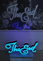 006_Michael_Schuster_Sonja_Gangl_The_End_2010.jpg