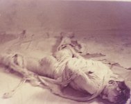 009_Guenter_Brus_Azione_Vienna_1964_Kasette_Edition_Ciccognani_Zille_72dpi.jpg