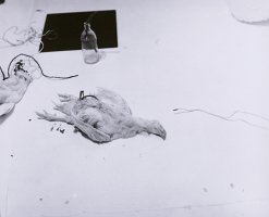 010_Rudolf_Schwarzkogler_6._Aktion_1966_Foto_M._Epp_s_w_Fotografie_72dpi.jpg