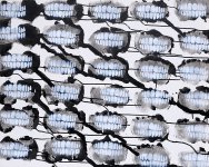 020_Christian_Eisenberger_Ohne_Titel_2009_Acryl_auf_Leinwand_Schablonentechnik_70x100cm.jpg