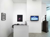 Exhibition view, Saturnalia 2017, Gallery, Markus Mittringer, Rita Nowak, Hofstetter Kurt, photo © Sandro Zanzinger 2017