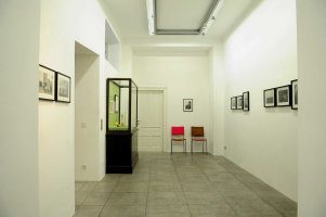 Markus Mittringer, Whatever the case, exhibition view, Konzett Gallery 2017, Photo © Silke Eggl