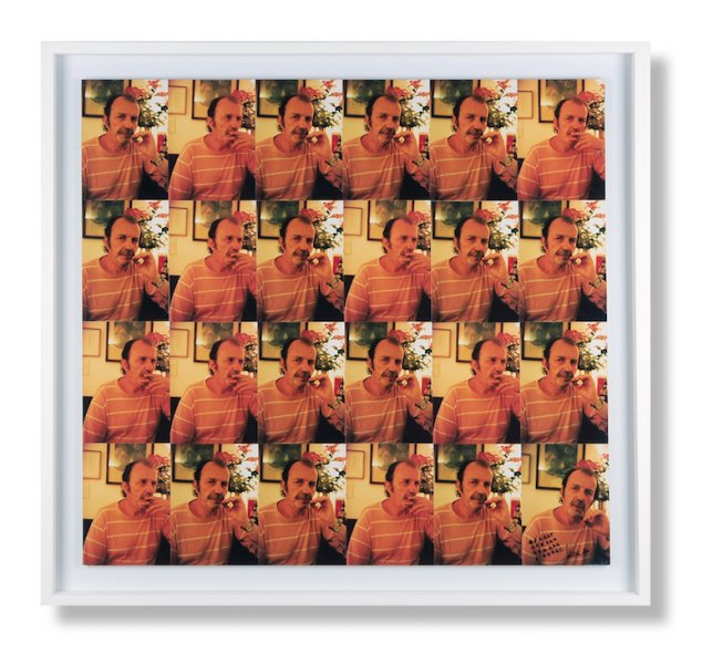 Jörg Schlick, In konzeptueller Anspielung auf Basentriplets der DNS (ATCG), Particulary Elementaries, 1998, 24 Farbfotografien, 80 x 90 cm.