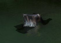Rita Nowak, Canamae, 2016, Giclée Print gerahmt, 30x42cm, Fotos © Rita Nowak 2016