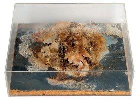 019_Dieter_Roth_Kleine_Insel_1968_Mixed_Media_36x31x11cm.jpg