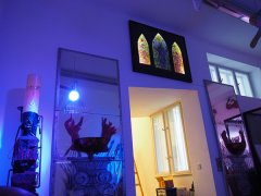Exhibition view “Saturnalia II” with works by Roland Adlassnig 2015