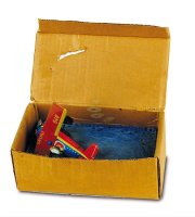 002_Dieter_Roth_Ins_Meer_1970_Blechspielzeug_Zuckerguss_Pappkarton_8x20x11cm.jpg